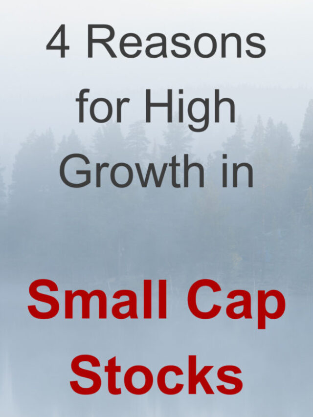 4 Reasons for High Growth in Small Cap Stocks