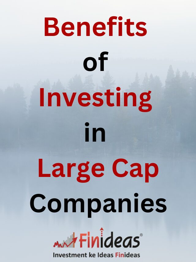 Benefits of Investing in Large Cap Companies